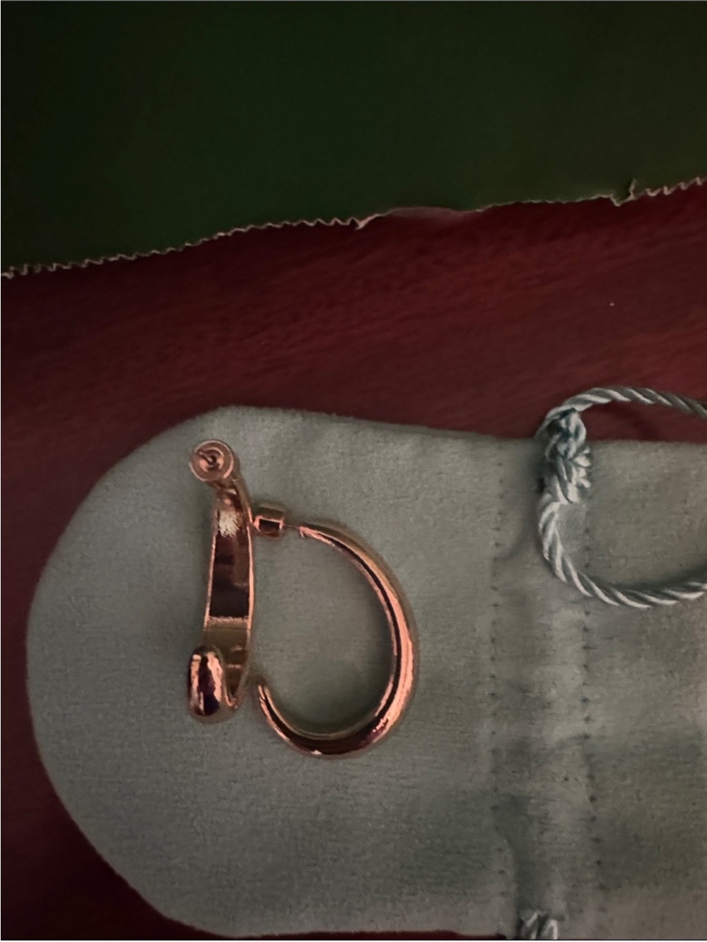 Mango hoop earrings - Picture 3 of 5